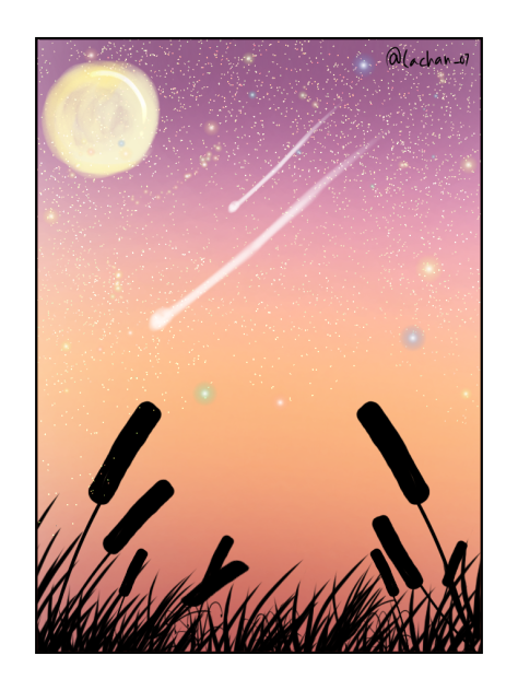 night in the rice fields