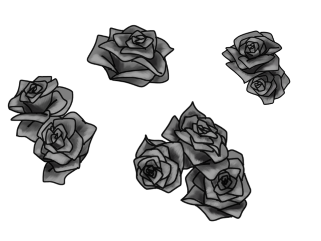 薔薇