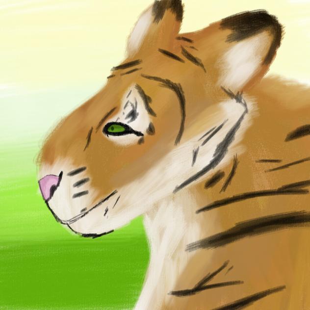 Tigers are cute! 🥰