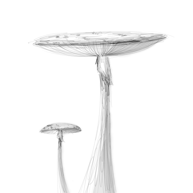 Destroying Angel Mushroom