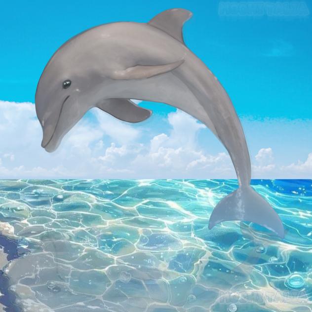 Dolphin 🐬💦~!!✨ X3 ˚₊·—̳͟͞͞💙🤍🩵