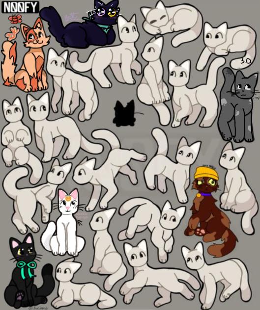 Cat Collaboration!