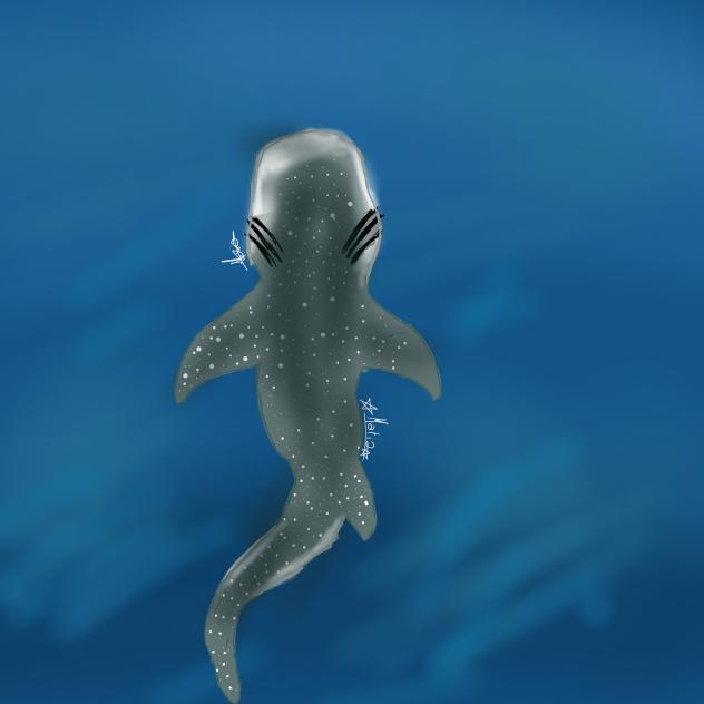 whale shark