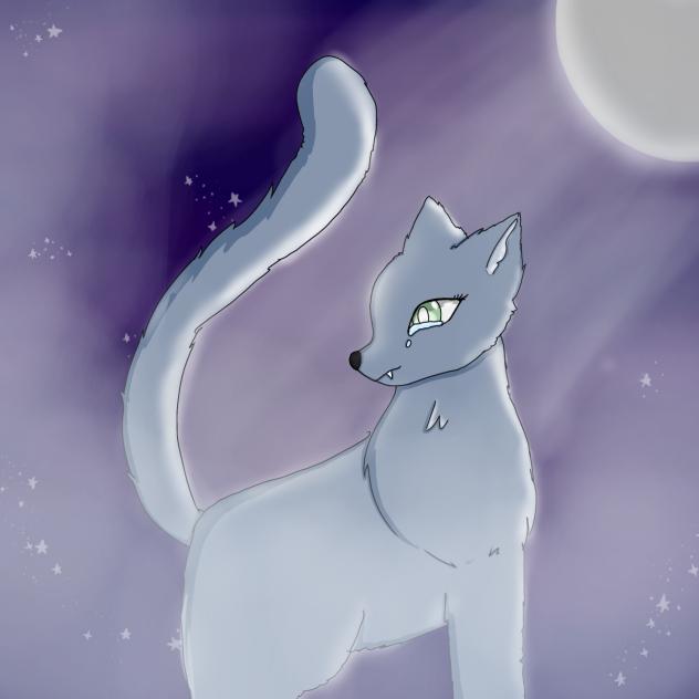 Under the moonlight!