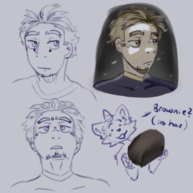 art studies, hawks!!