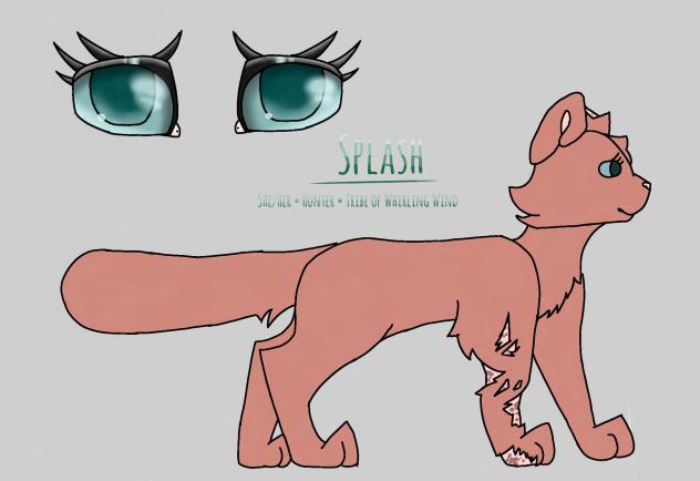 Splash Ref Sheet