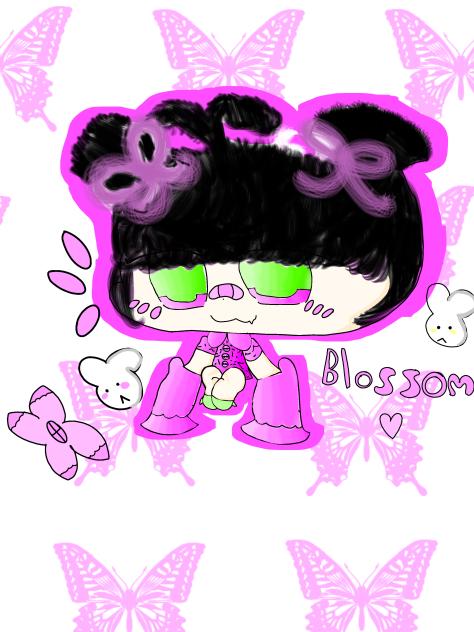 Meet blossom ♡
