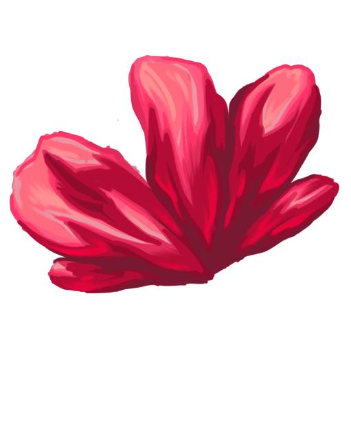Shading practice - ibisPaint