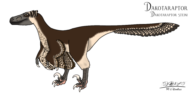 Dakotaraptor steini
