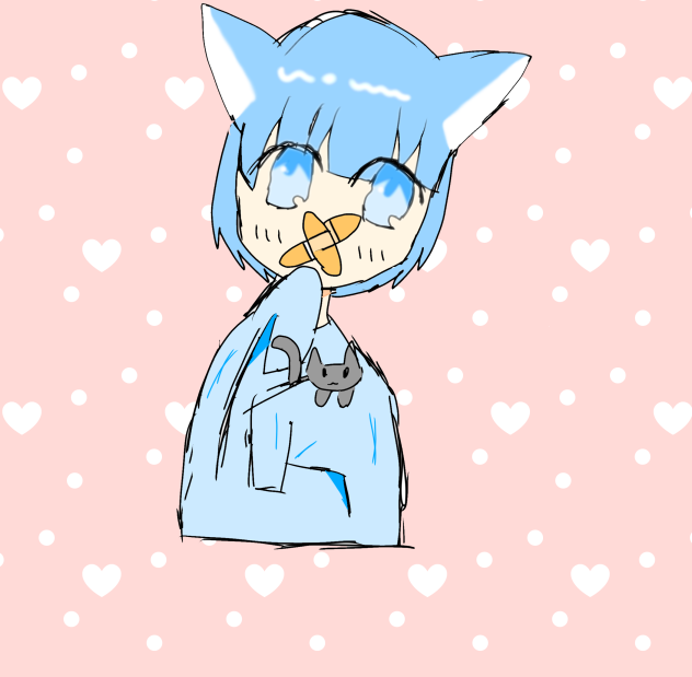 猫ちゃん！