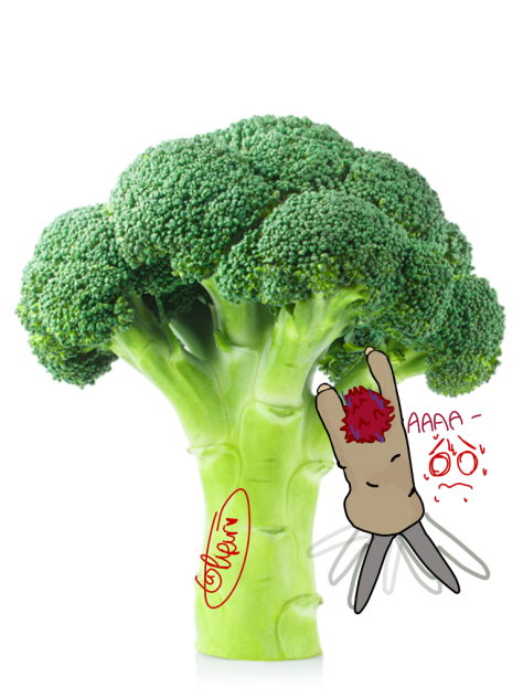 Leo struggling 😭 🥦