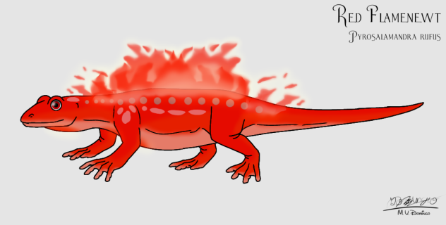 Red Flamenewt glows