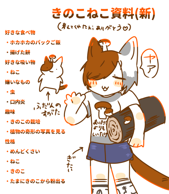 きのこねこの資料です