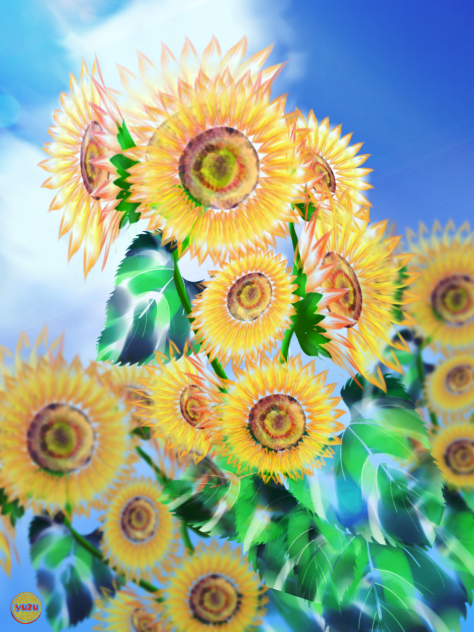 めいきんぐ、ひまわり