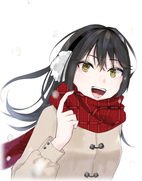雪の日