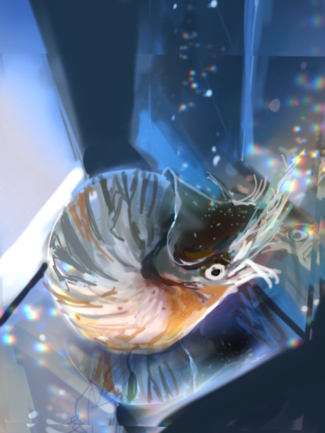 オウムガイ