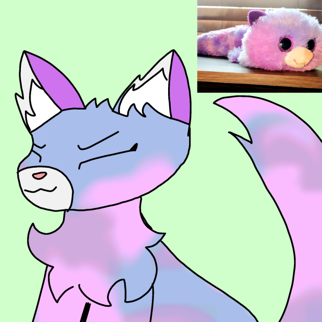 Tie - dye cat