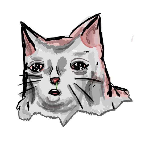 randomCatIUse2ScarePeopleInClass^^