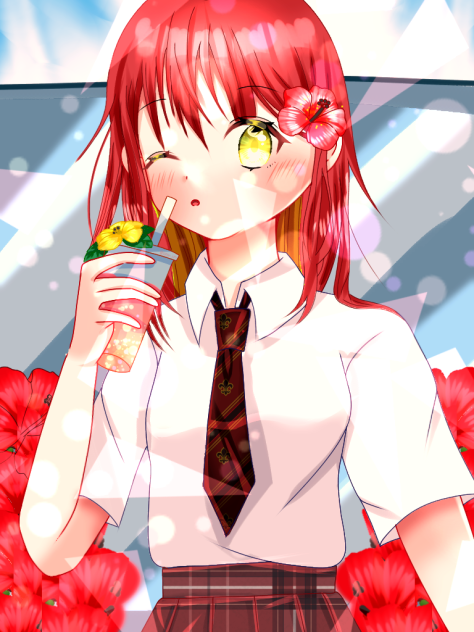 ハイビスカス🌺🌺