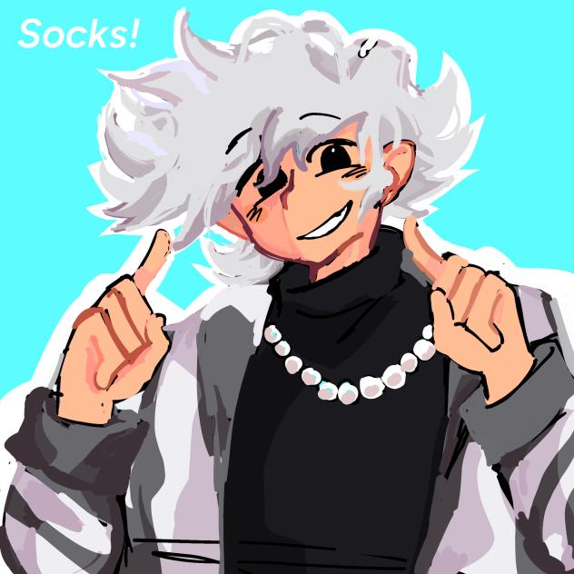 Fanart for SocksApollo