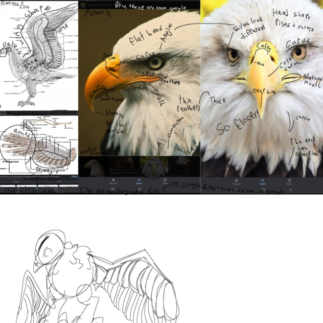 birb