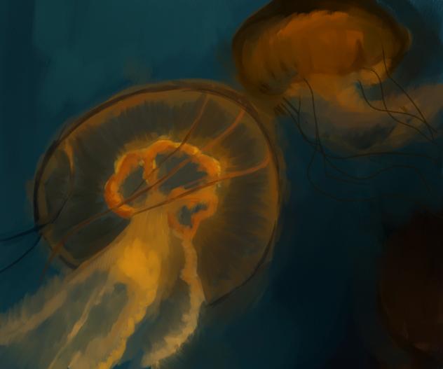 jellyfish