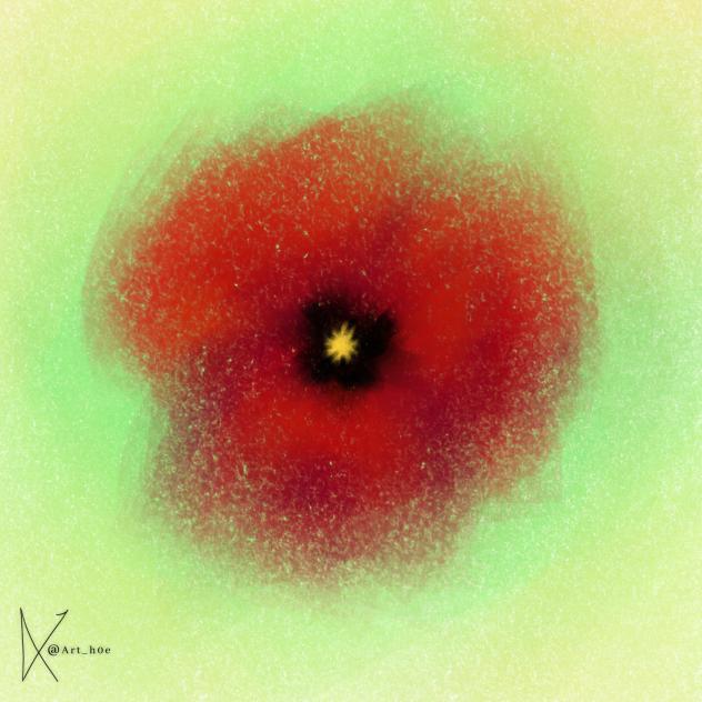 Poppy