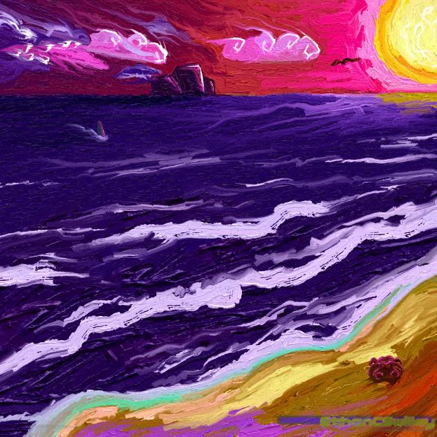 What You Sea