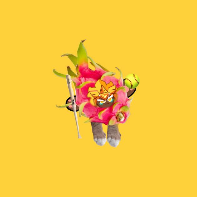 golden cheese dragon fruit cat thing