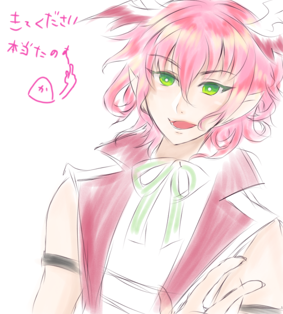 限定ゼロキス祈願落書き