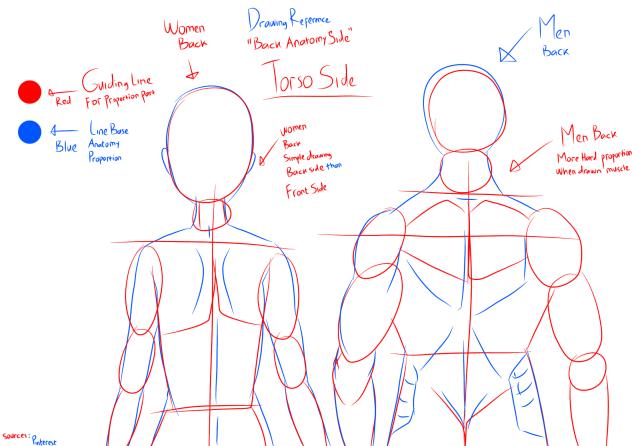 How to Drawing Back Anatomy Side