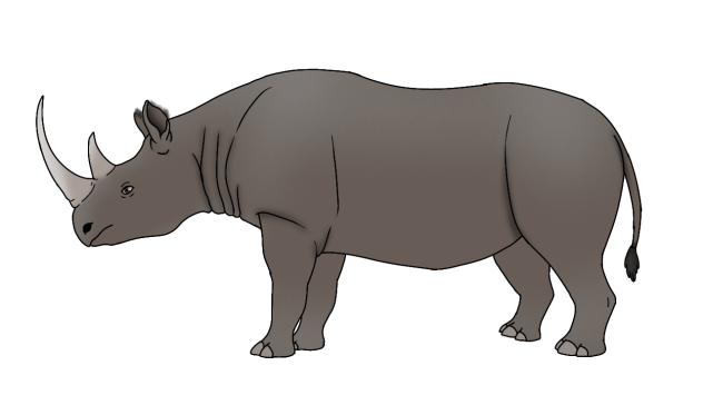 Black Rhinoceros render