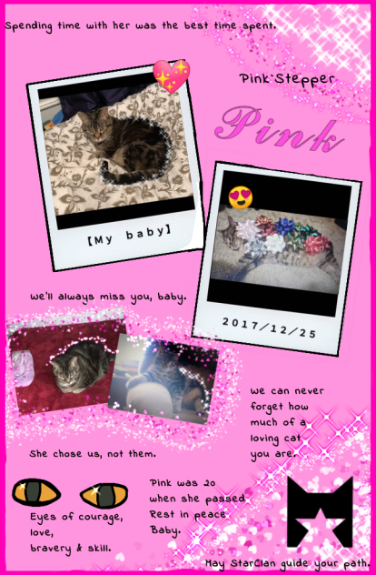 Rest in peace our Dear Pink.