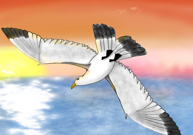 Lil’ seagull 🌊