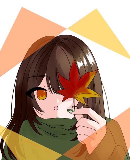紅葉🍁