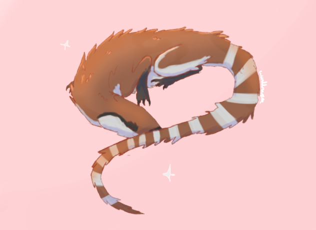 Sinosauropteryx sleeping