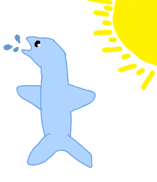 Dolphin