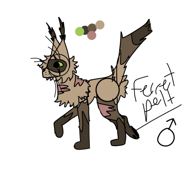 My oc ferretpelt