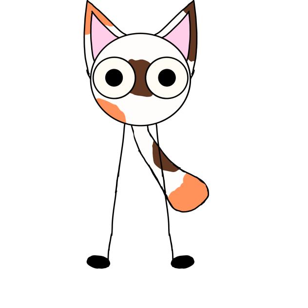 Phoenix the calico cat