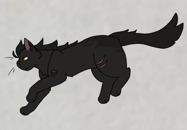Breezepelt