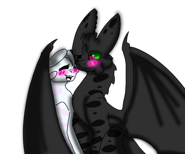 Toothless x Light Fury