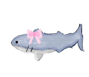 shark 🦈