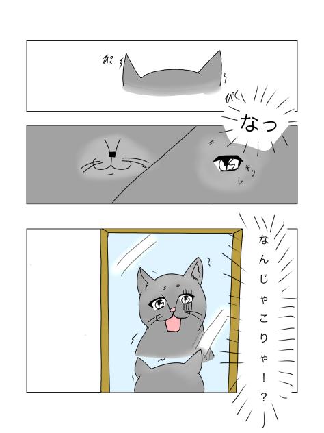 猫丸と凛ちゃん