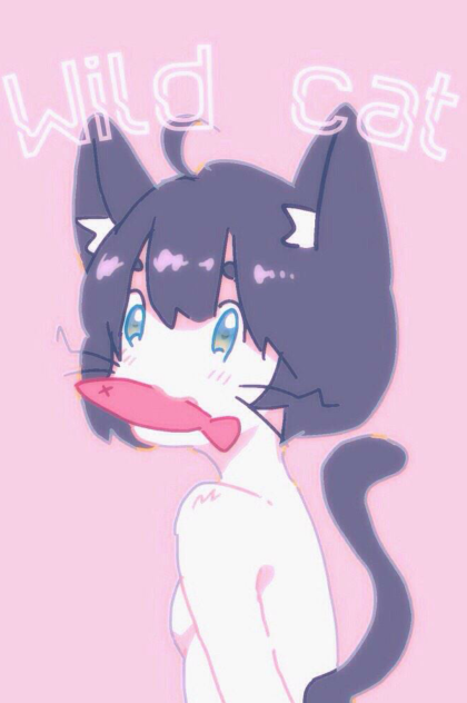 野良猫