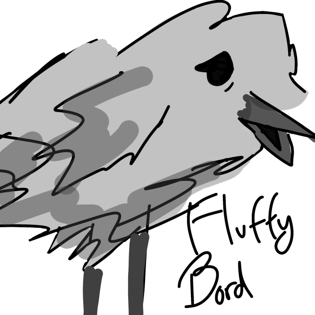 fluffy bird