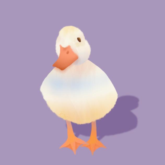Call duck