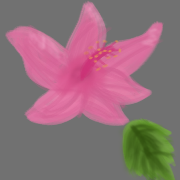 Hibiscus