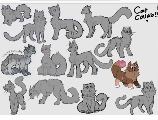 CAT COLLAB - ibisPaint