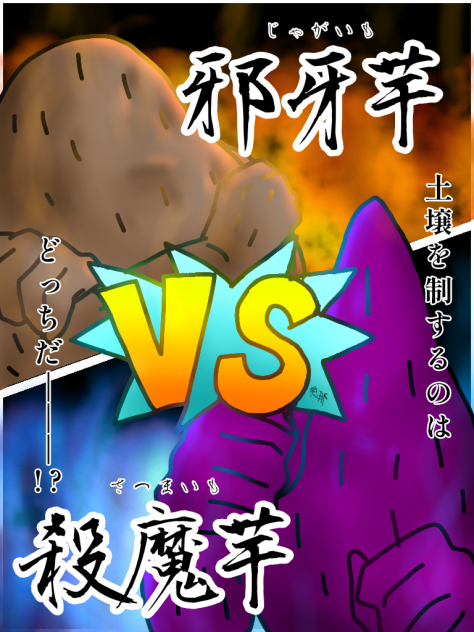 ジャガイモｖｓサツマイモ