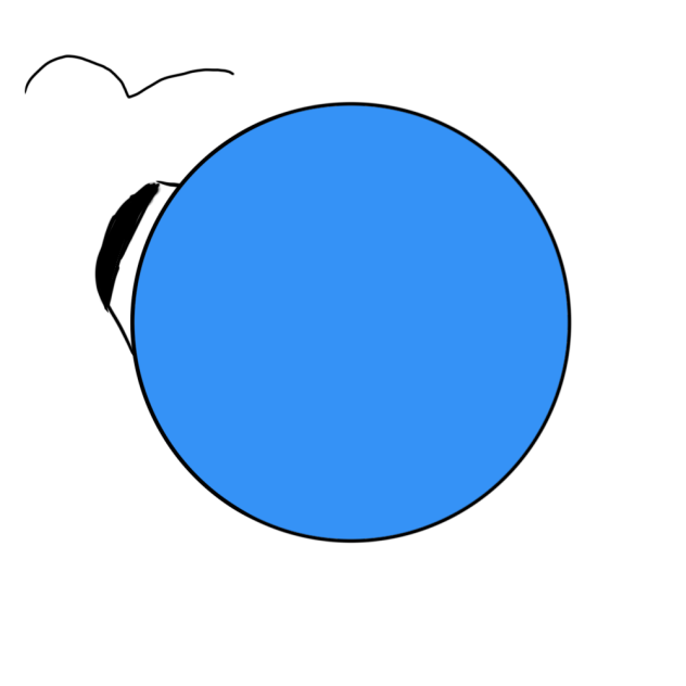 blue lookie looking at bird